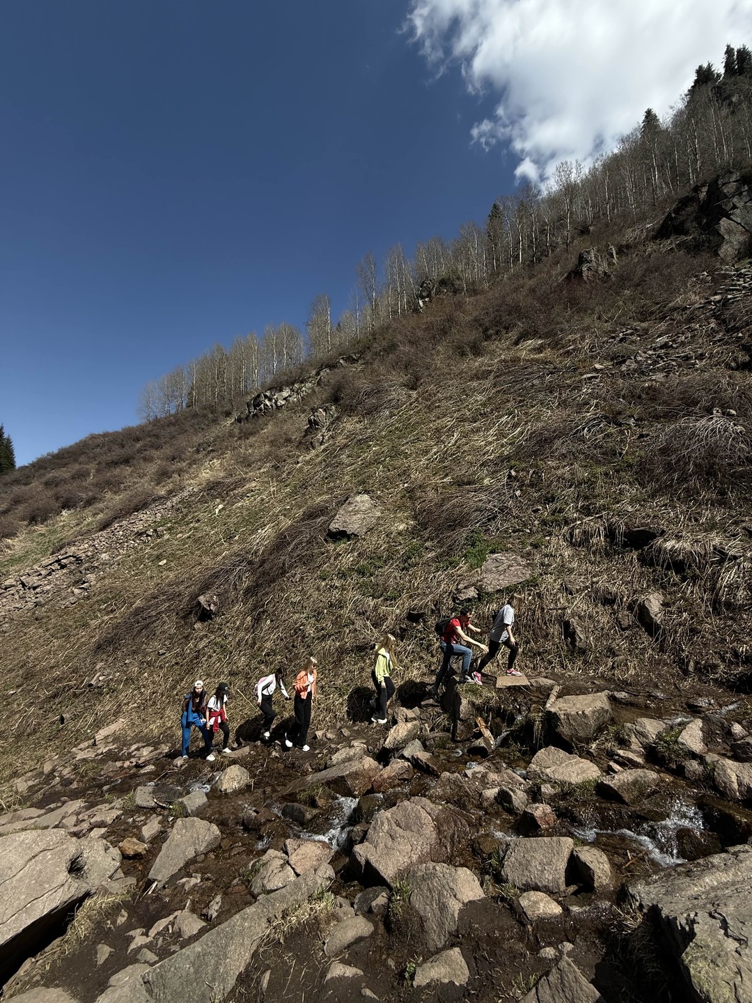 Замечательная экскурсия, замечательное времяпровождение наедине с природой. Величественный беркут поражает, горы Шымбулак высотой 3200м над уровнем