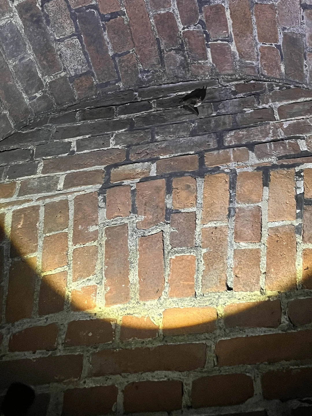 Отличное мероприятие, экскурсовод Денис живет своим делом, ему это интересно, а значит и нам, слушателям, информация преподнесена как нужно