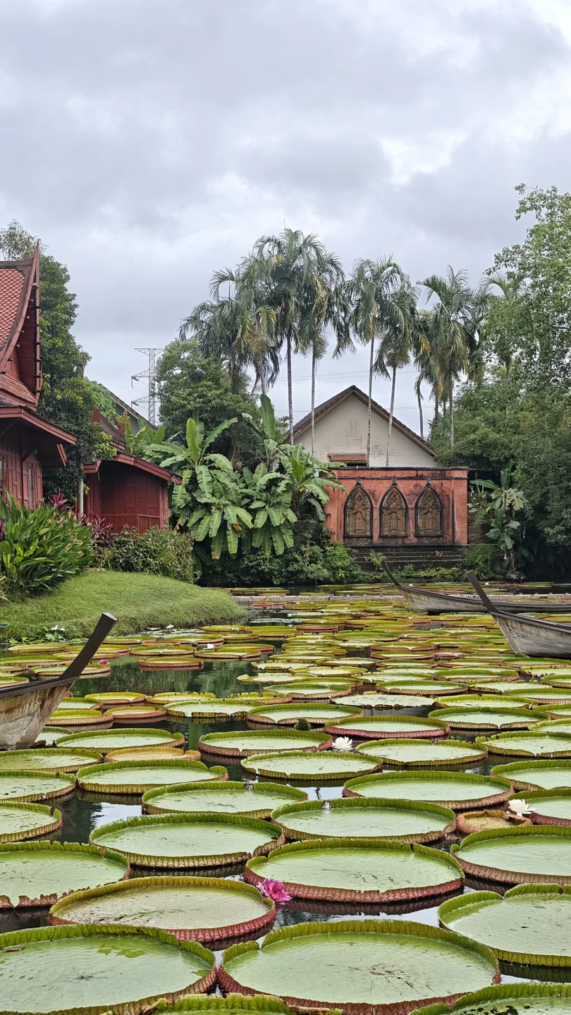 Экскурсия понравилась! Места красивые, группа небольшая, без больших толп на локациях. Красиво, интересно, большое спасибо!