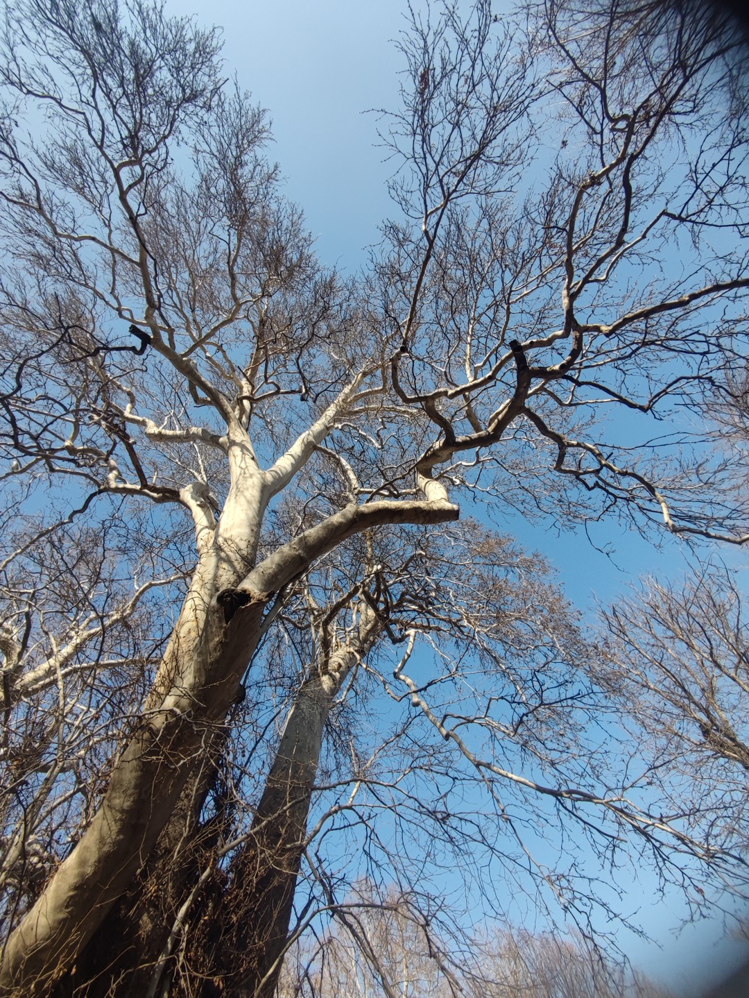 Всё прошло просто отлично! Огромная благодарность Лидии и моему замечательному гиду Мураду!