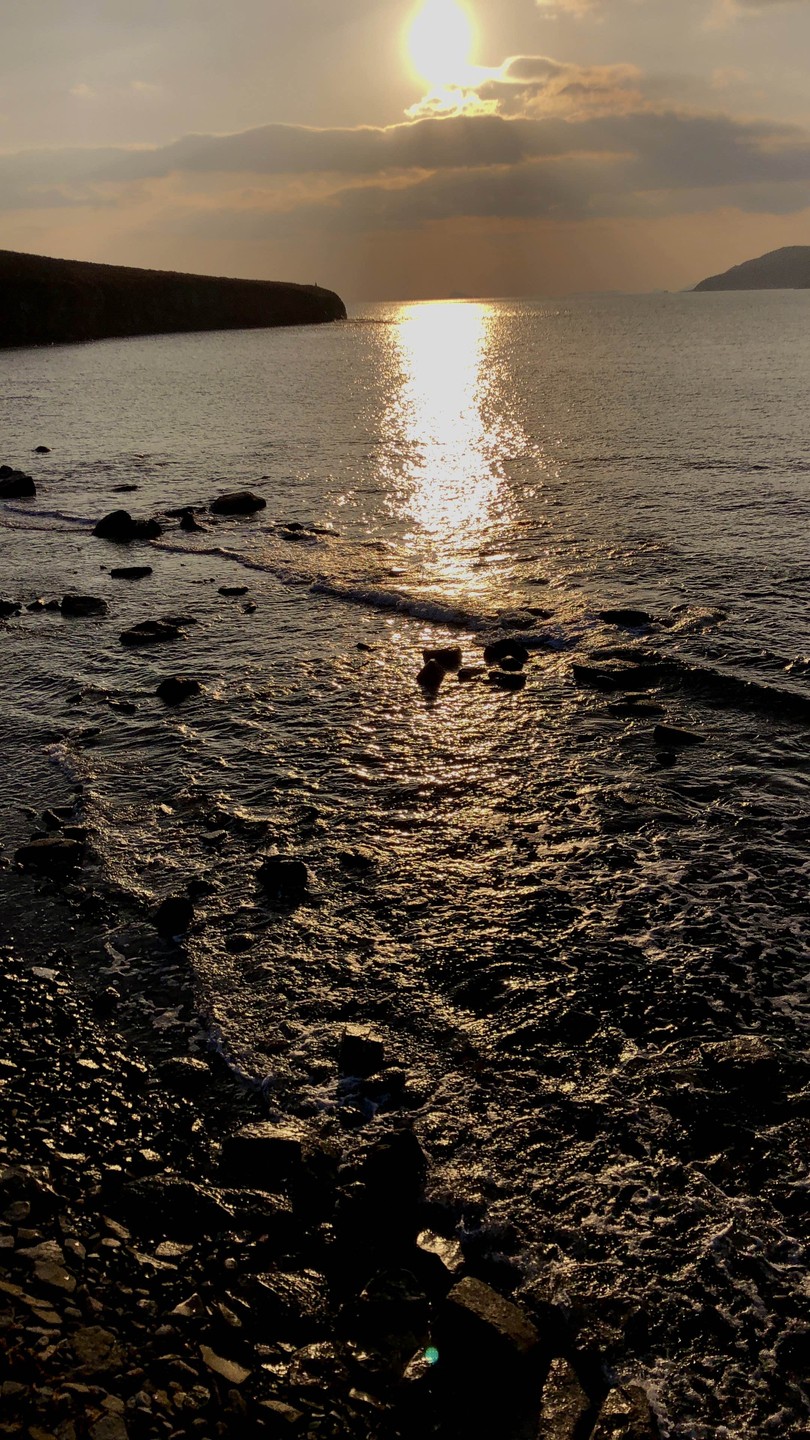 Топ-5 мысов острова Русский (Лилия)