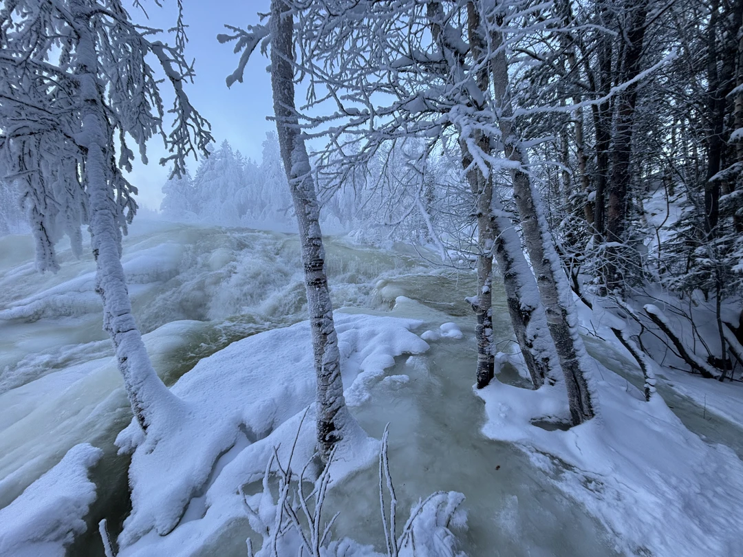 Зимняя природа Севера! После поездки и не знаю, что может быть прекраснее! Дмитрий был нашим гидом