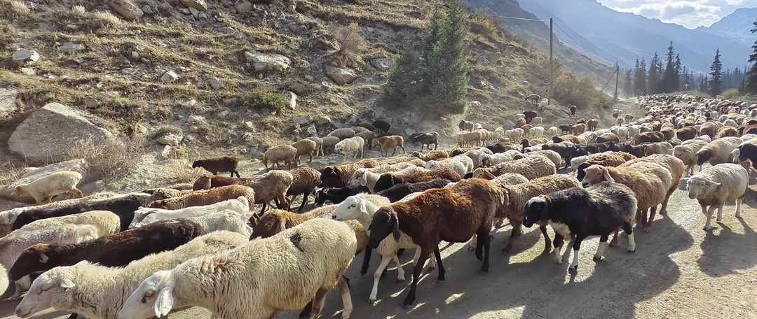 Хочу выразить благодарность команде Юрия. В частности менеджеру Тамаре, которая отвечала на все вопросы четко и