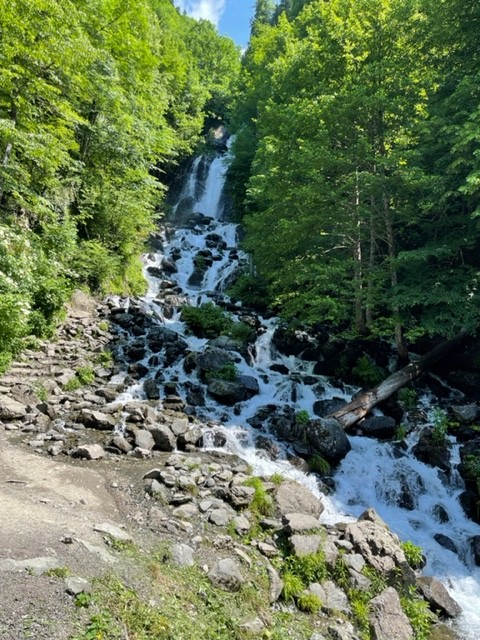 Гранд-путешествие по Абхазии: 4 города и озеро Рица (Сергей)