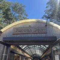 Фото отзыва 3: экскурсия "Утренняя Куршская коса из Зеленоградска на автобусе"