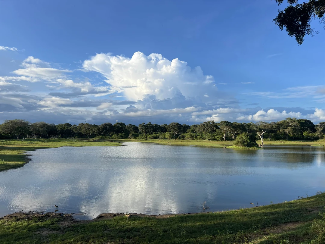 Очень рекомендую эту экскурсию. Дорога от отеля прошла незаметно: столько интересной истории, слушали втроем с 9-летним