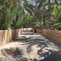 Фото отзыва 1: экскурсия "Из Дубая — в живописный Аль-Айн (всё включено)"