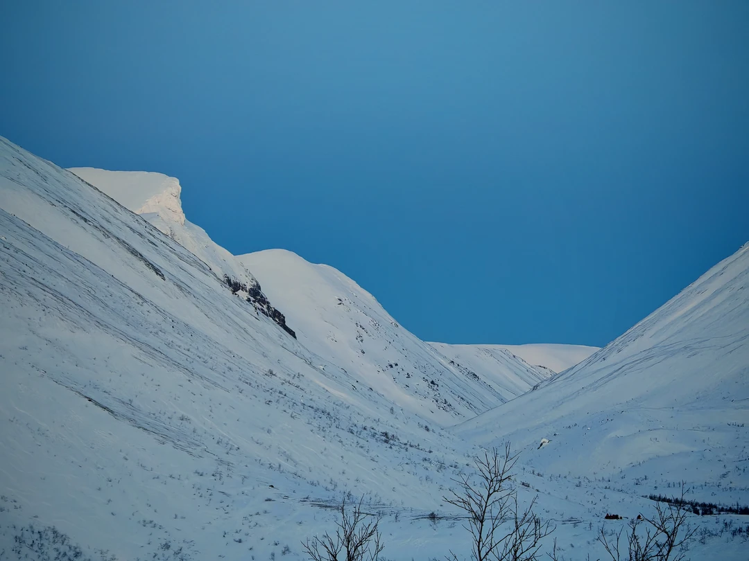 Отлично провели время с Оксаной и ее милейшей собакой. Нам очень понравился красивый маршрут, было увлекательно