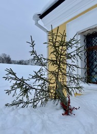 Фото отзыва 6: экскурсия "Прогулка по Ростову: от древности до наших дней"