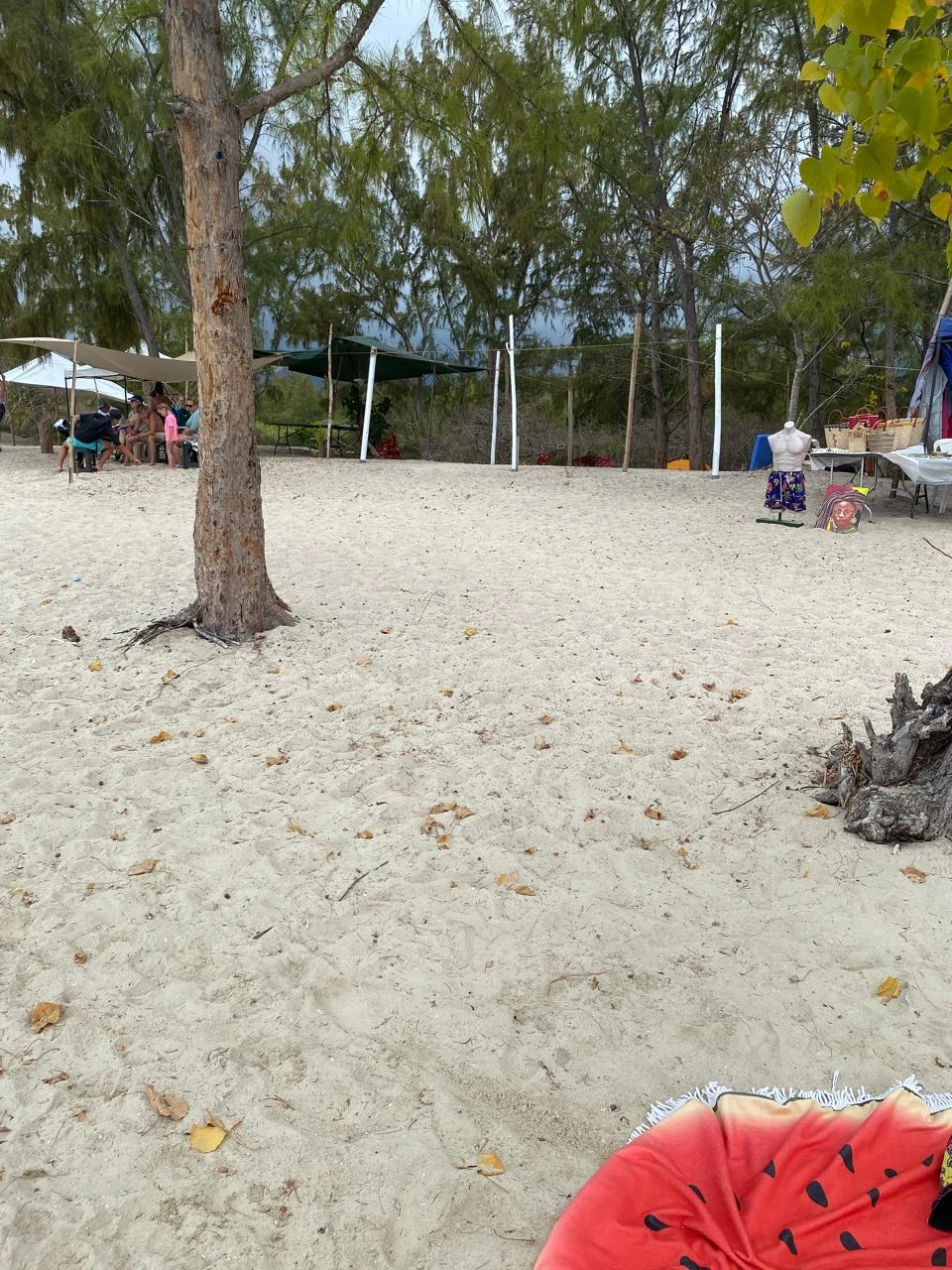 Были на экскурсии 03.11.2025, полное несовпадение с описанием, разочарование и обида, тк другие экскурсии, купленные здесь