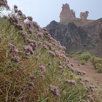 Фото отзыва 6: экскурсия "Озёра Каинды и Кольсай, Черный и Чарынский каньоны — все сокровища Алматы"