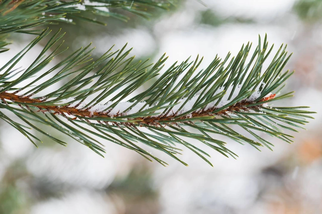 Добрый день