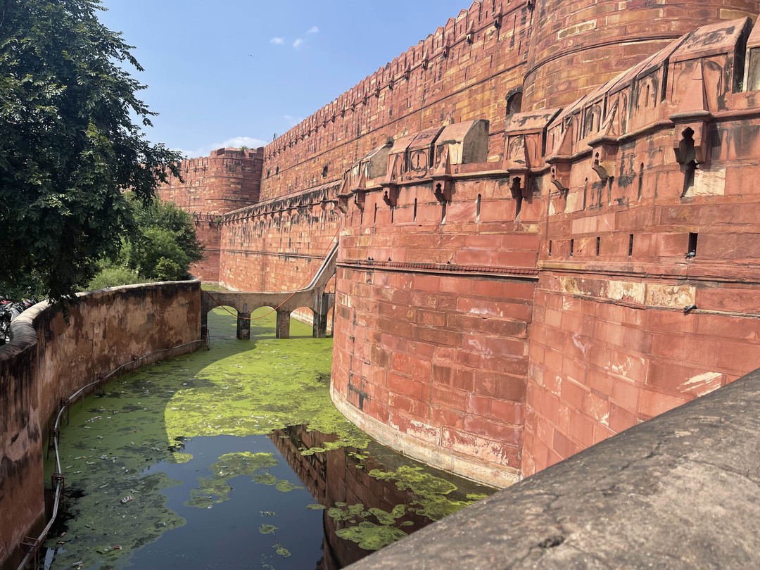 Обратились к Али за однодневной экскурсией из Дели в Тадж-Махал.
