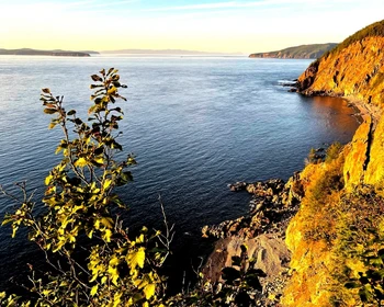 Возвращение в Николаевск-на-Амуре