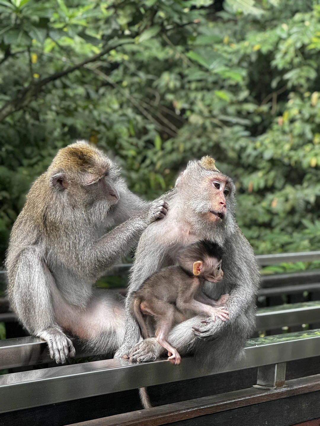Очень понравится гид Ваян, дружелюбный, рассказывает всё понятно, фотографирует)
