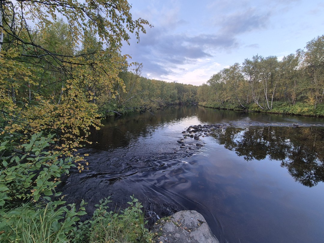 Это было прекрасно, гид спросила меня, может ли она взять собаку, я согласилась