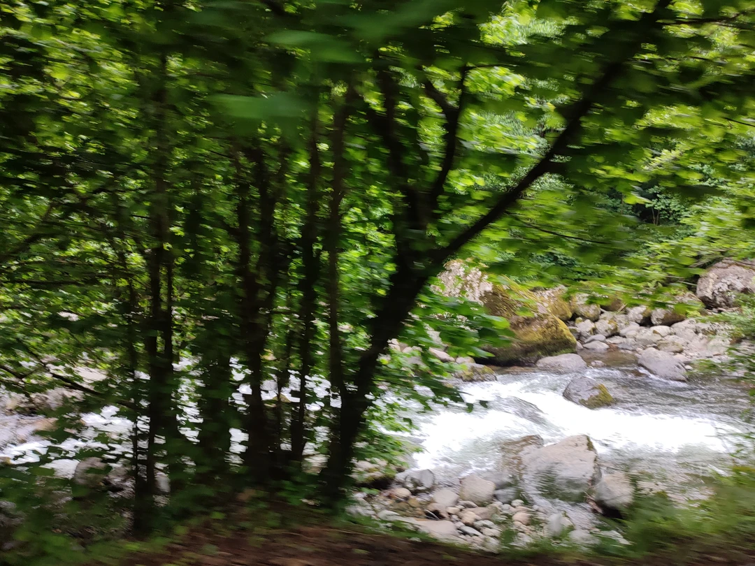 Благодаря Федору мы с дочерью провели замечательный день в Грузии. Каждое место, которое мы посетили, особенное