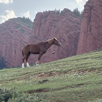 Фото отзыва 1: экскурсия "2 дня на озере Иссык-Куль: каньоны, горы и ледники"