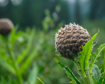 Возвращение в Абакан