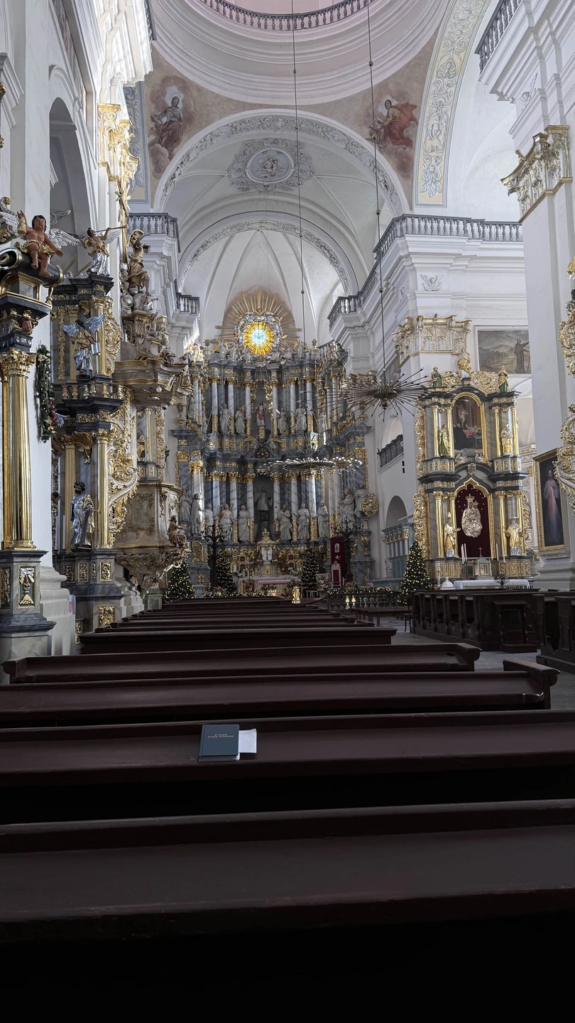 Королевский город Гродно (Елена)