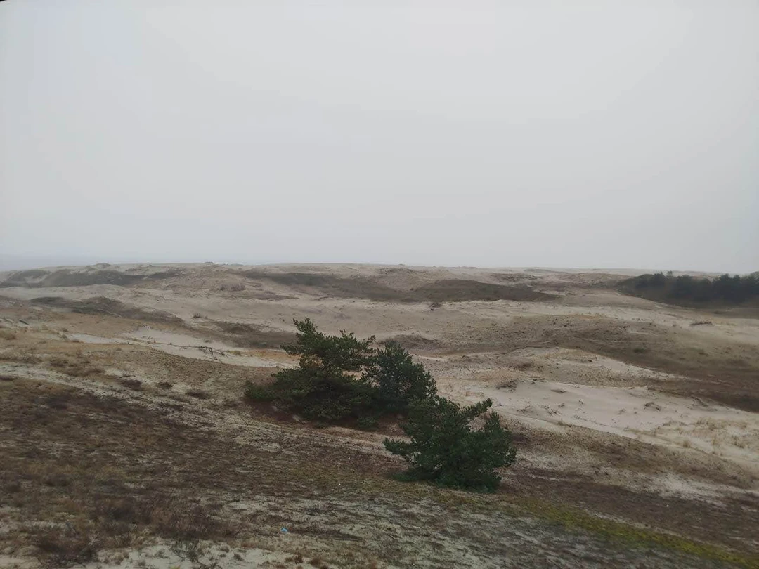 Экскурсия понравилась