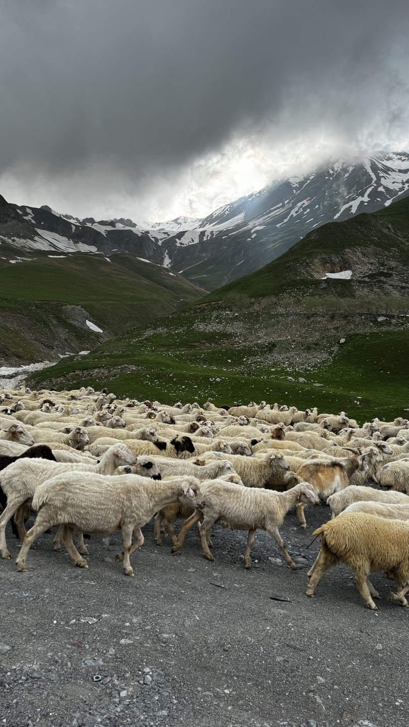 Большое спасибо ребятам за организацию такого шикарного тура! Все было очень грамотно организовано, много чего сделали