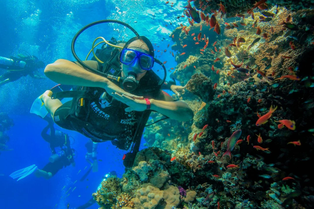 Египетские Мальдивы: групповая прогулка на яхте (Жанна)