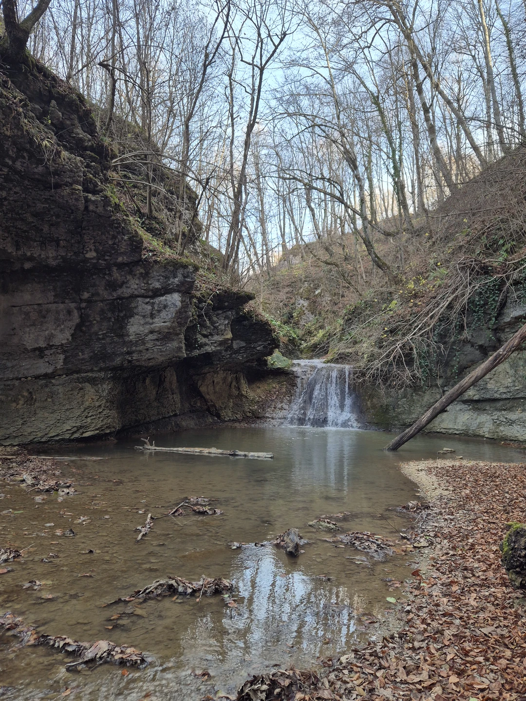 Гид Любовь прекрасно провела тур. Очень познавательное и живое общение без сухих фактов. Учитывала все пожелания