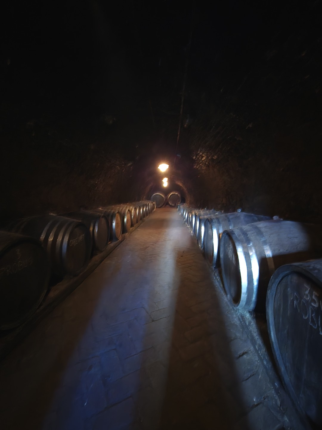 Экскурсию с Александром можно назвать увлекательным путешествием! Очень интересно,познавательно,с юмором. Лёгкое общение, много информации не только