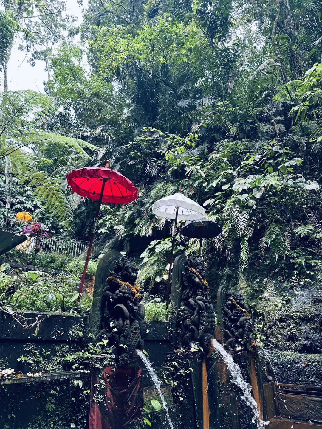 Сердце Бали: живописные плантации, парк птиц и краски Убуда (Venera)