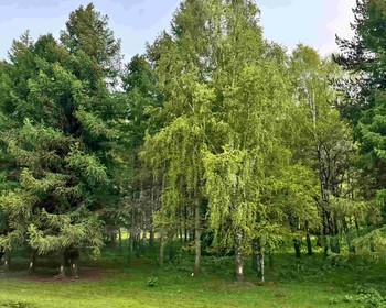 Джеты-Огуз и путь в Каракол