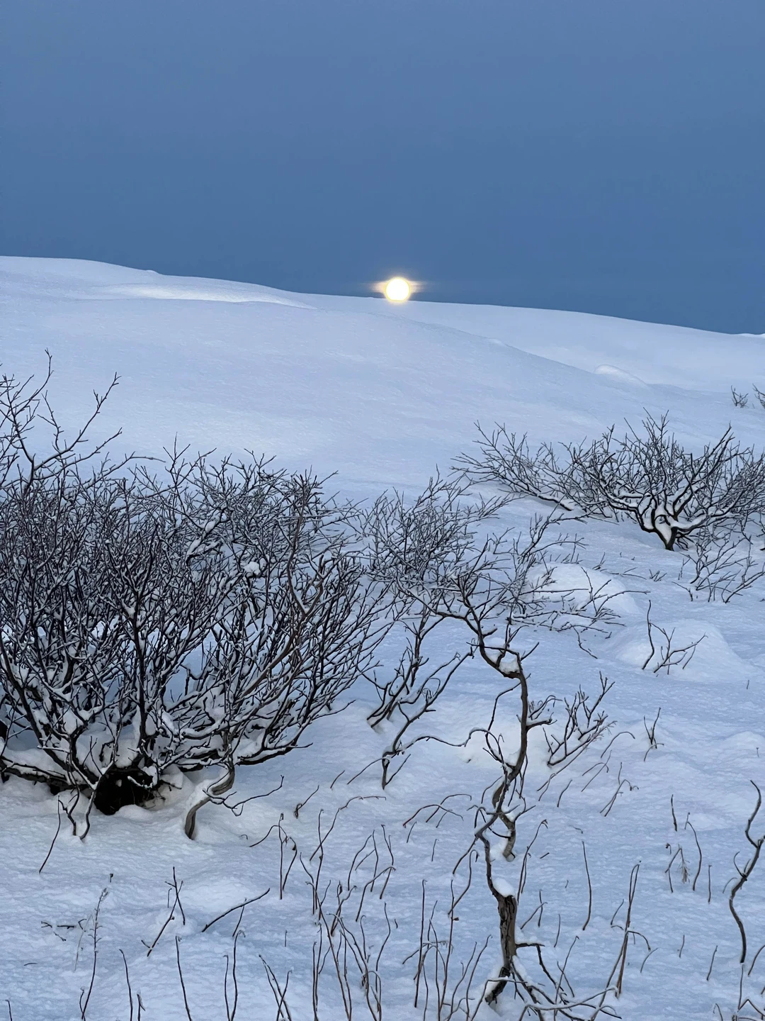 Отличная экскурсия