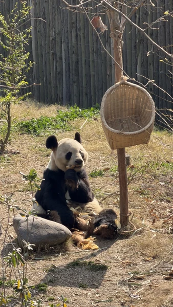Большое спасибо Пэну. Очень оперативно выходил на связь. помогал с оформлением и оплатой. все четко!