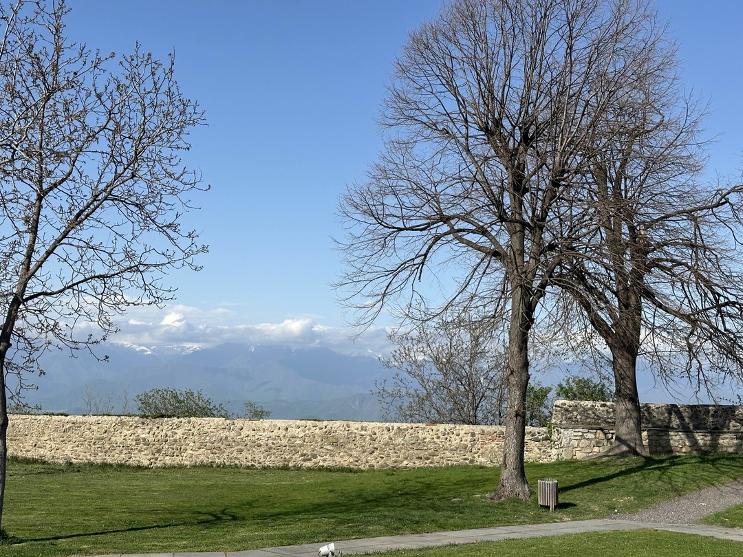 Спасибо огромное за экскурсию! Однозначно рекомендую выбирать только этого гида! Наше путешествие прошло очень весело в