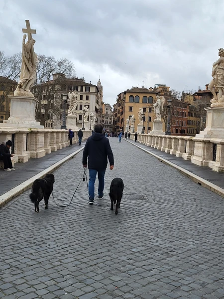 Татьяна супер гид! Очень обьемно и интересно! Рекомендую. 6 часов пролетели незаметно и даже дождь не