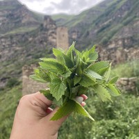 Фото отзыва 1: экскурсия "Красоты Шамильского района — Гоор, Кахиб, Язык тролля"