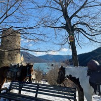 Фото отзыва 2: экскурсия "В группе из Тбилиси — к окрестностям горы Казбек!"