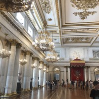 Фото туриста Вафина 3 - Эрмитаж за 2 часа — в мини-группе (билеты включены)