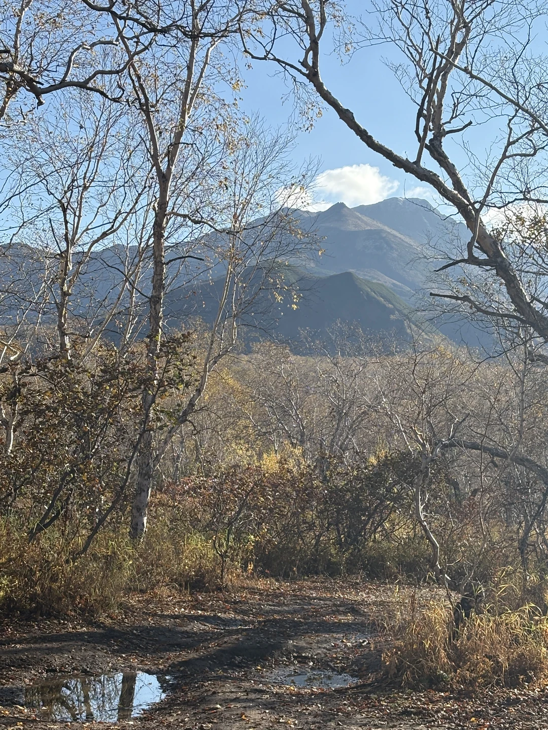 Прошло все очень хорошо. Спасибо