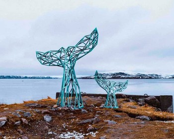 Морская прогулка и удивительные места Териберки