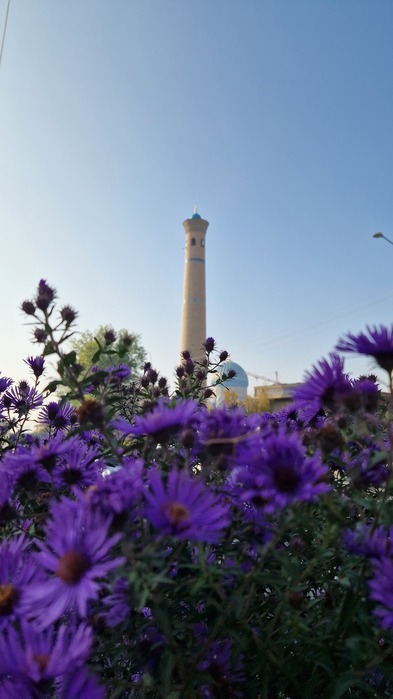 Душа Ташкента - квартал Хазрати Имам (Денис)