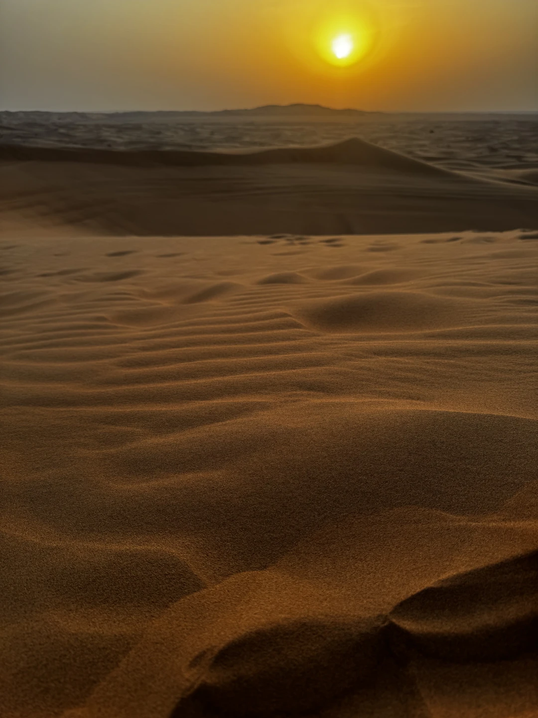 Были на экскурсии 03.03.2026, безумно понравилось! В связи с отменой многих рейсов в Дубай, туристы из