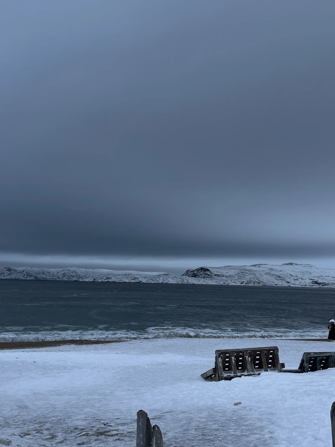 Киты, тюлени и невероятная Териберка (Оксана)