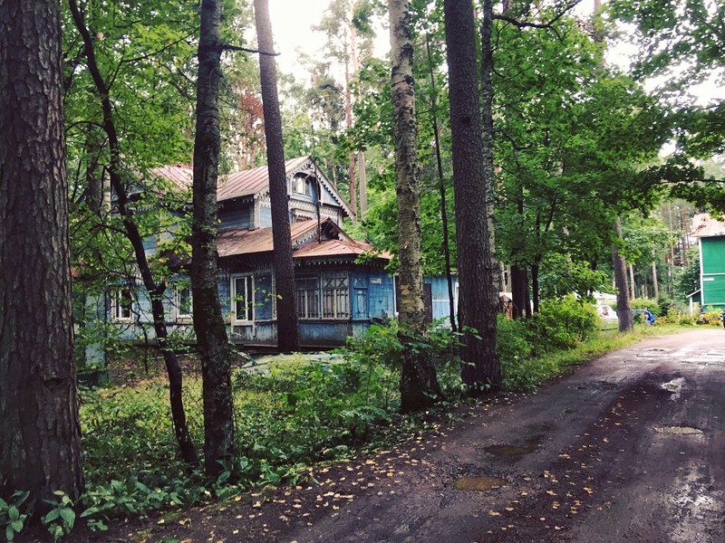 Оллинпяя - заповедник старинных дач