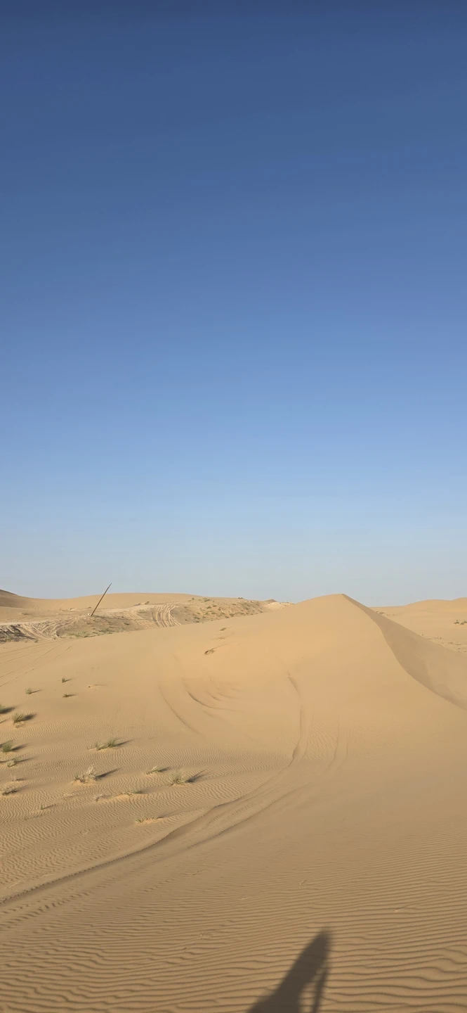 Двоякое впечатление: водитель на 5+, организация лагеря — мимо