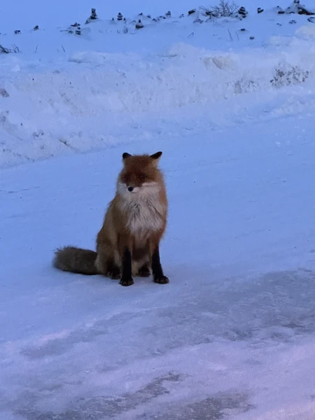 Териберка: дыхание Ледовитого океана (Мария)