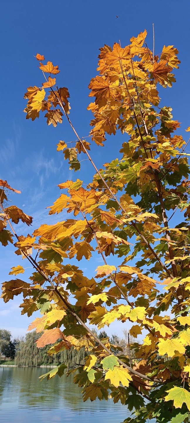 Отличная поездка. Виды шикарные! Погода не подкачала, что очень важно! У нас был очень душевный водитель
