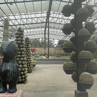 Фото отзыва 1: экскурсия "Из Паттайи — в парк растений «Нонг Нуч» (с обедом или без)"