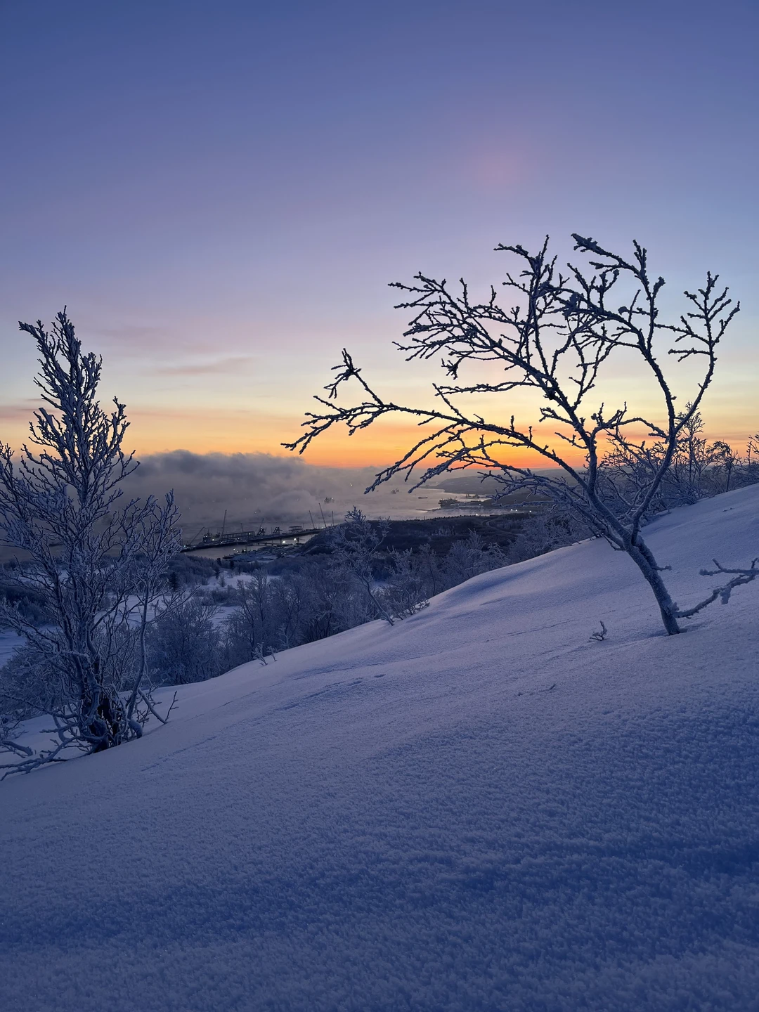 Это самая богатая на восторженные эмоции экскурсия (хотя нам повезло и с сиянием, и с китами