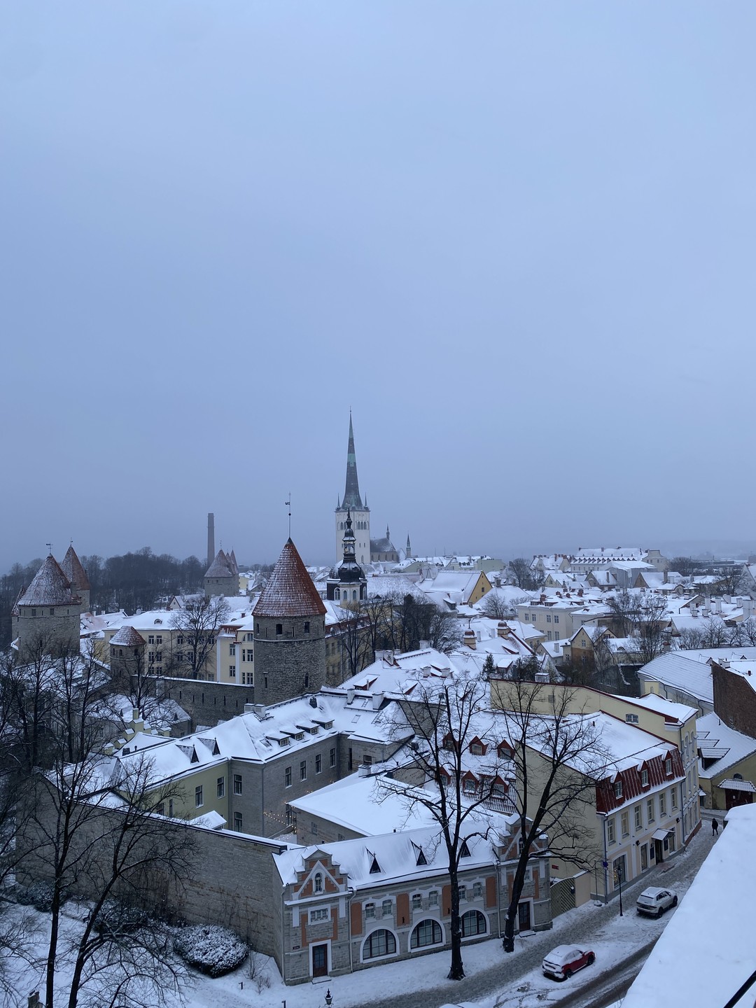 Выражаем благодарность нашему гиду Елене за прекрасную экскурсию по "Средневековому Таллину". Елена, спасибо за интересно предоставленную
